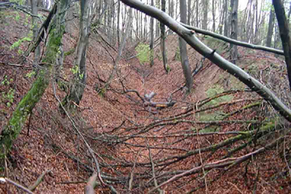 Die heute fast völlig mit Blättern und Ästen aus vielen Jahrhunderten verschütteten Hohlwege sind tatsächlich häufig sehr tief in die Landschaft eingefurcht