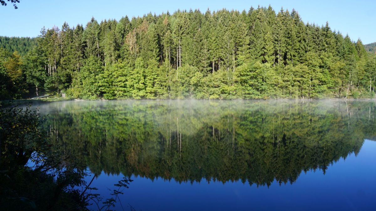 Afhodrbacher Weiher (Bild Heimatverein Afholderbach)