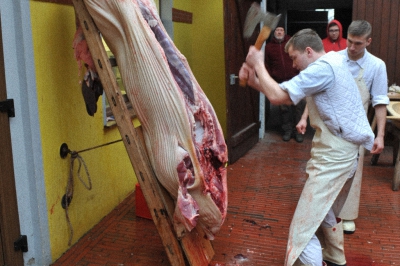 Das Schwein wird auf der Leiter aufgeschlagen - Bild: bauernzeitung.de