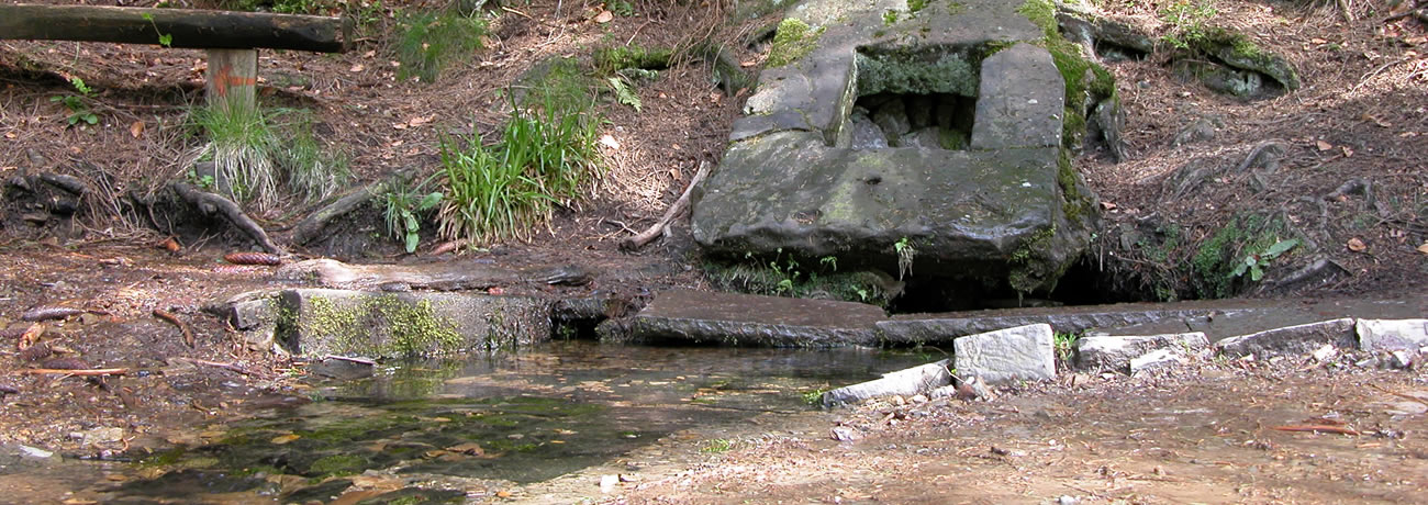 Die heilige Ilsequelle im schönen Ilsetal (Bild aus Wandern in Heiligenborn)