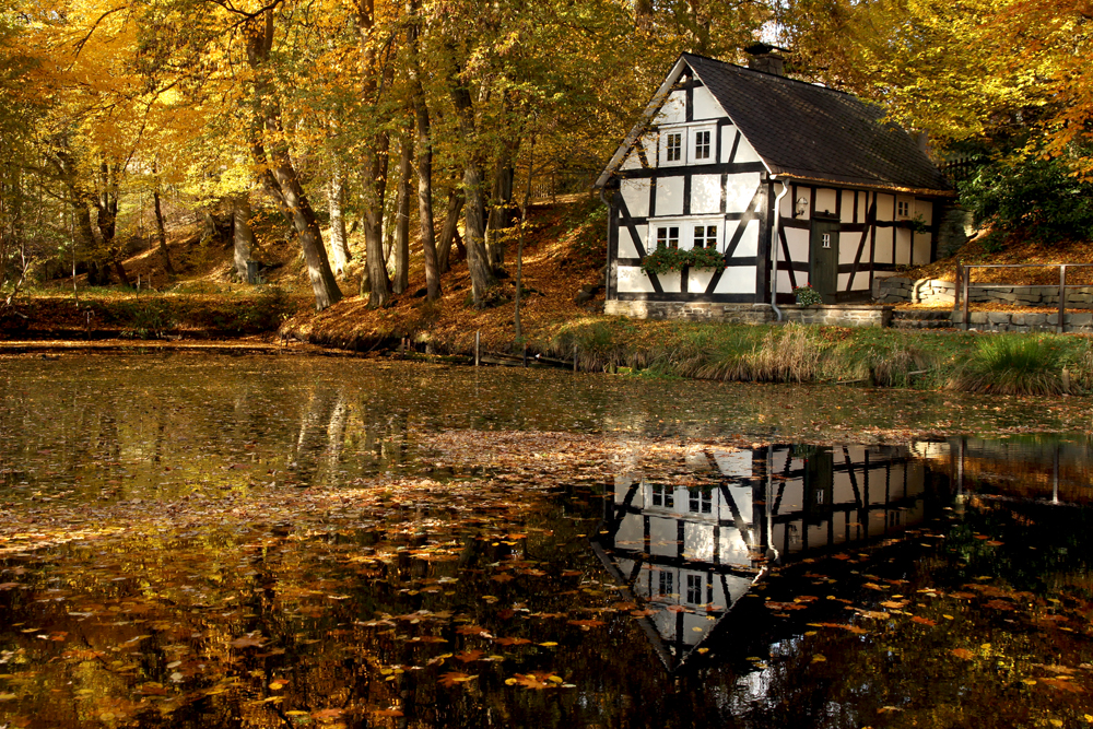 Backes am Pfarrweiher in Oberholzklau (Bilder von Astrid) 